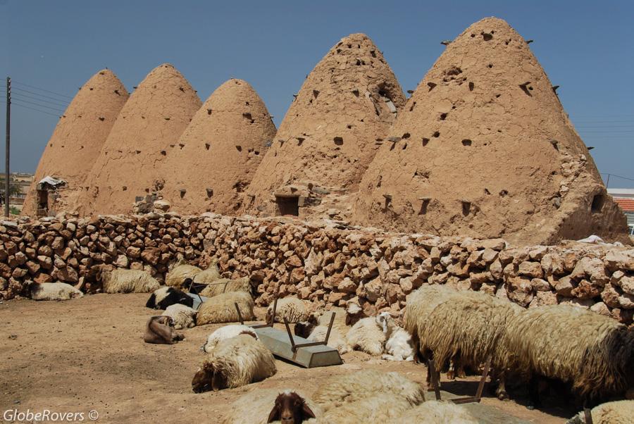 Village of Twalid Dabaghein, Syria, Middle East