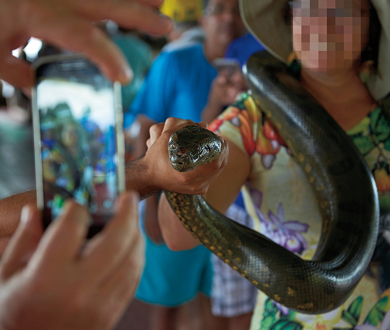 No wildlife selfies please