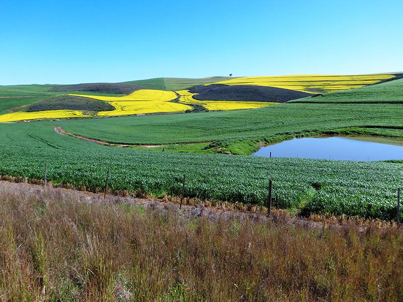 Grayton surrounding countryside South Africa