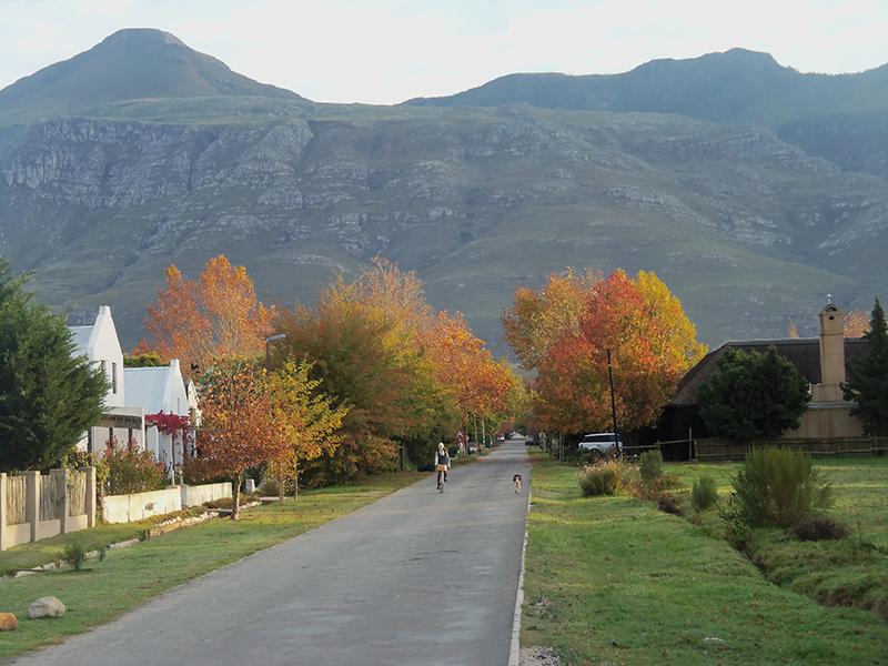 Greyton in the autumn roads South Africa