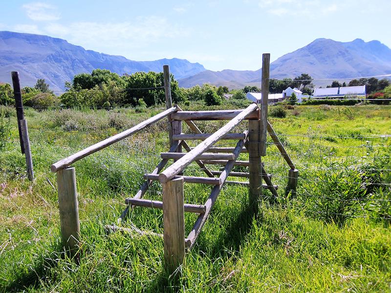 Greyton ladder South Africa