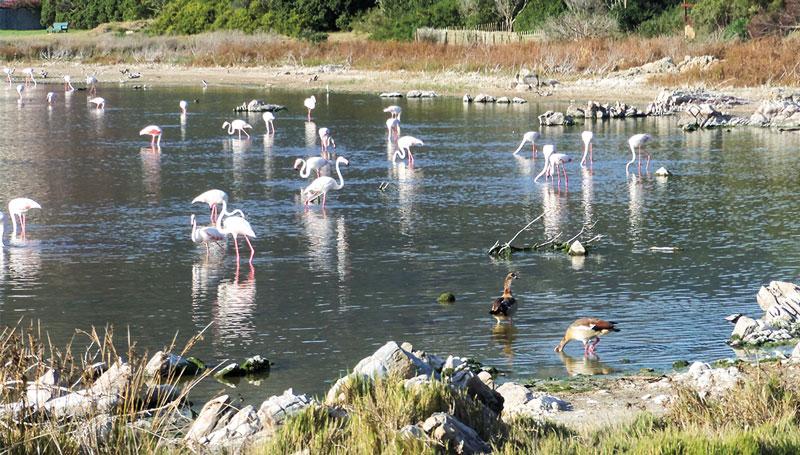 Hermanus Vermont Salt Pan
