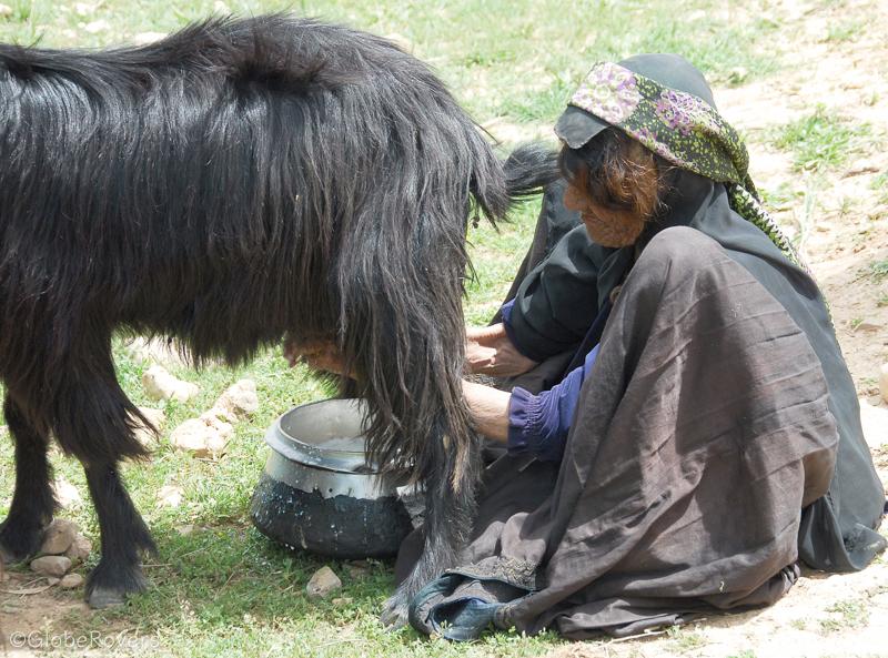 Iran Qashqai Shiraz 1