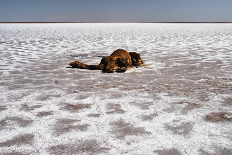 Salt Flats north of Garmeh, Iran