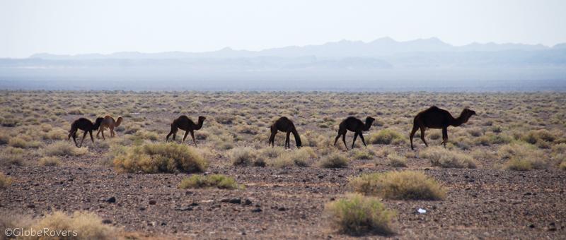 Road north of Garmeh to Salt Flats, Iran