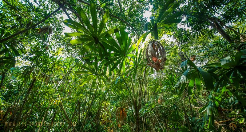 The Boulder Resort, Boulder Island, Andaman Sea, Myanmar