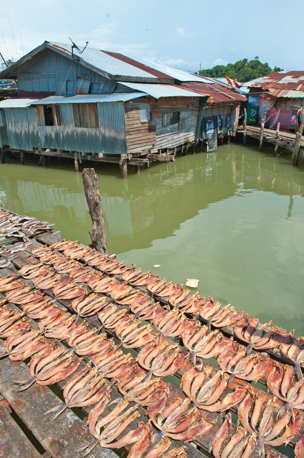 Moken sea Gypsies fish Mergui Myanmar