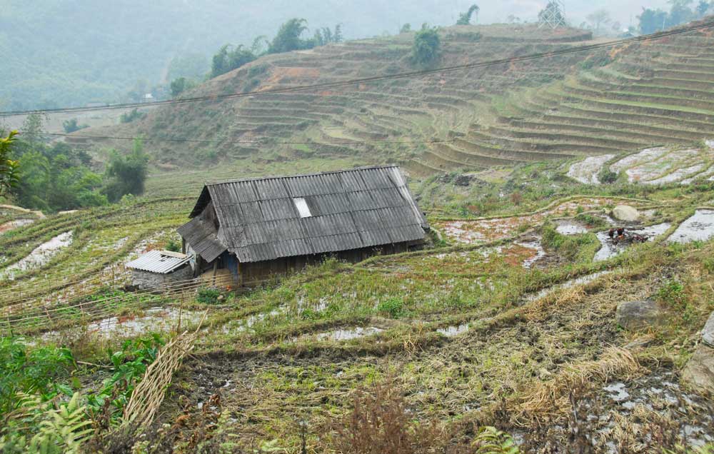 Journey with us to Tả Van Village in northern Vietnam’s Mường Hoa Valley, where terraced rice fields, Giay traditions, and mist-draped mountains create a timeless rural paradise