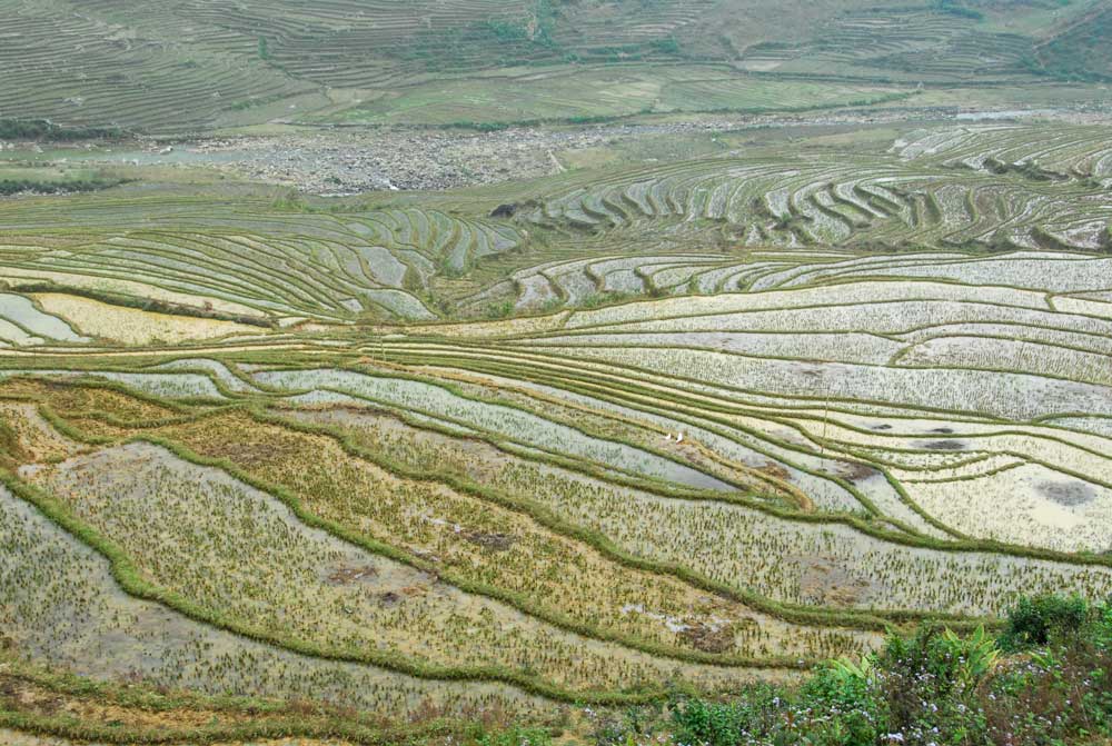 Journey with us to Tả Van Village in northern Vietnam’s Mường Hoa Valley, where terraced rice fields, Giay traditions, and mist-draped mountains create a timeless rural paradise